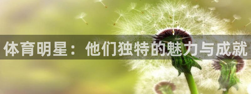 球王会体育：体育明星：他们独特的魅力与成就