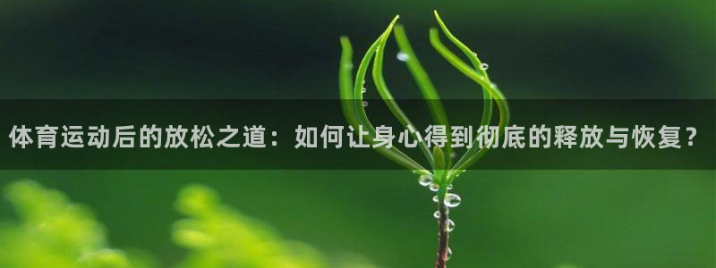 球王会体育：体育运动后的放松之道：如何让身心得到彻底的释放与恢复？