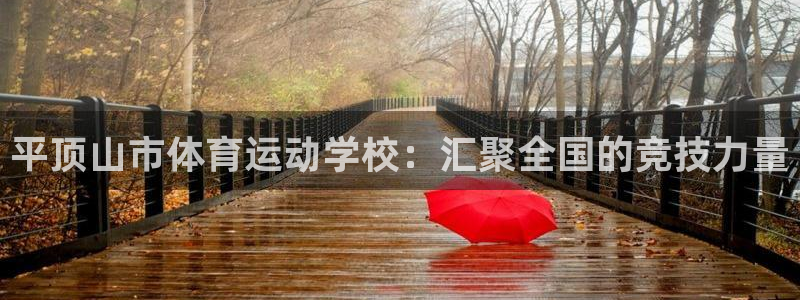 球王会体育：平顶山市体育运动学校：汇聚全国的竞技力量